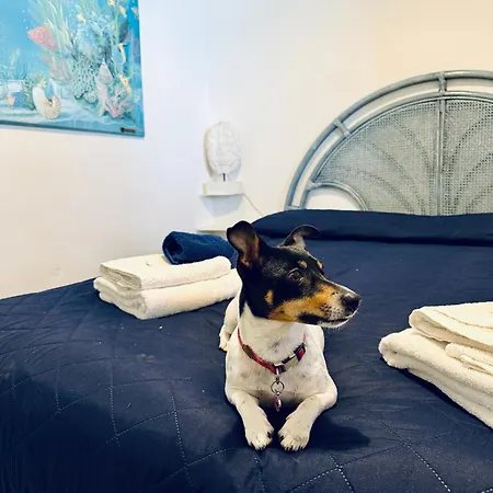 Apartment Lina